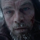 The Revenant